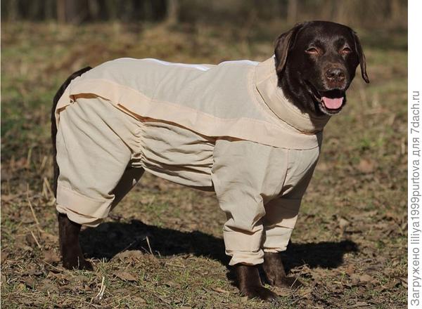 Защитный костюм, от клещей!