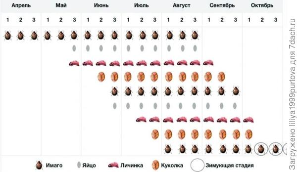 График Колорадо.