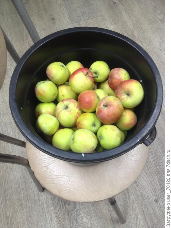 Весь урожай