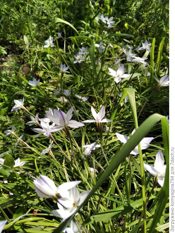 Вот такой? :)