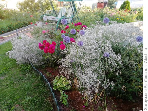 а так он выглядит в июле