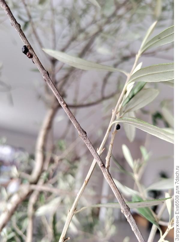 разный ракурс