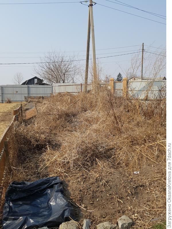 Огород 2019г. &quot;Глаза боятся — руки делают!&quot;