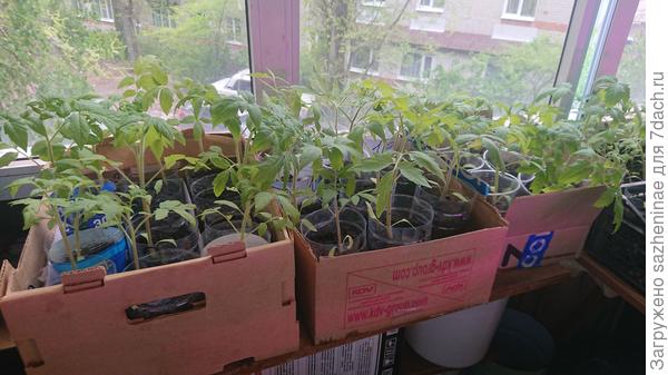 Изображение на фото