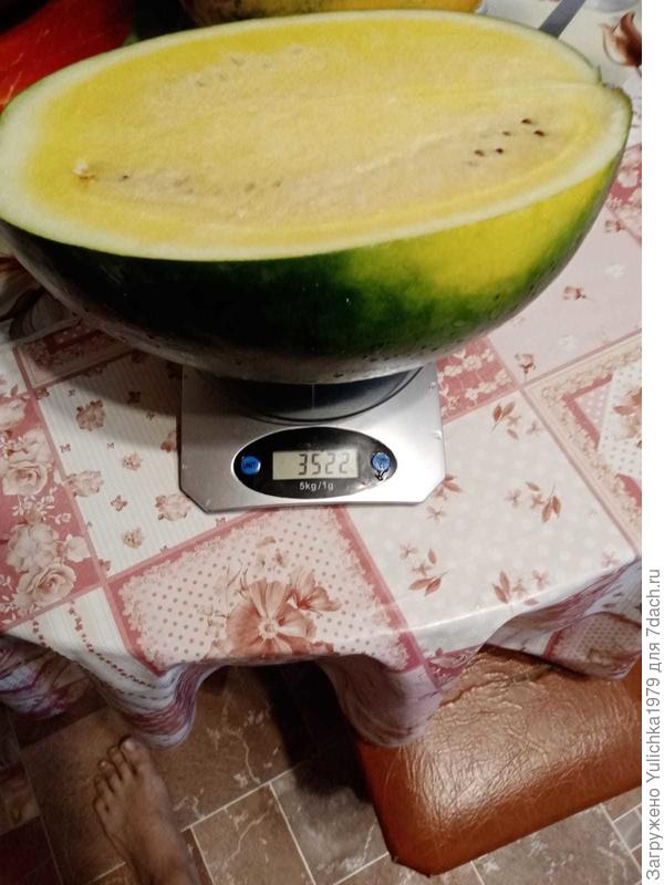 Чудо Ягода, весы на 5 кг - взвешивали по частям