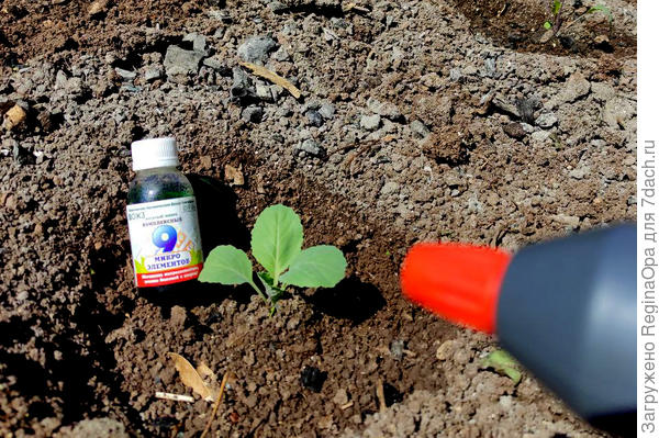 Витаминки для растений