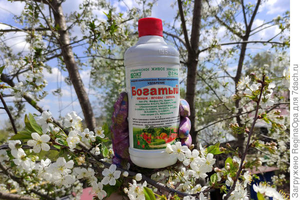 Богатое удобрение для всего сада и огорода