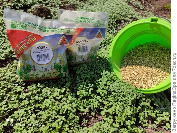 Сидераты. Сейте много и постоянно.