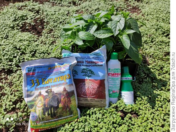 Эксперимент по специальной технологии