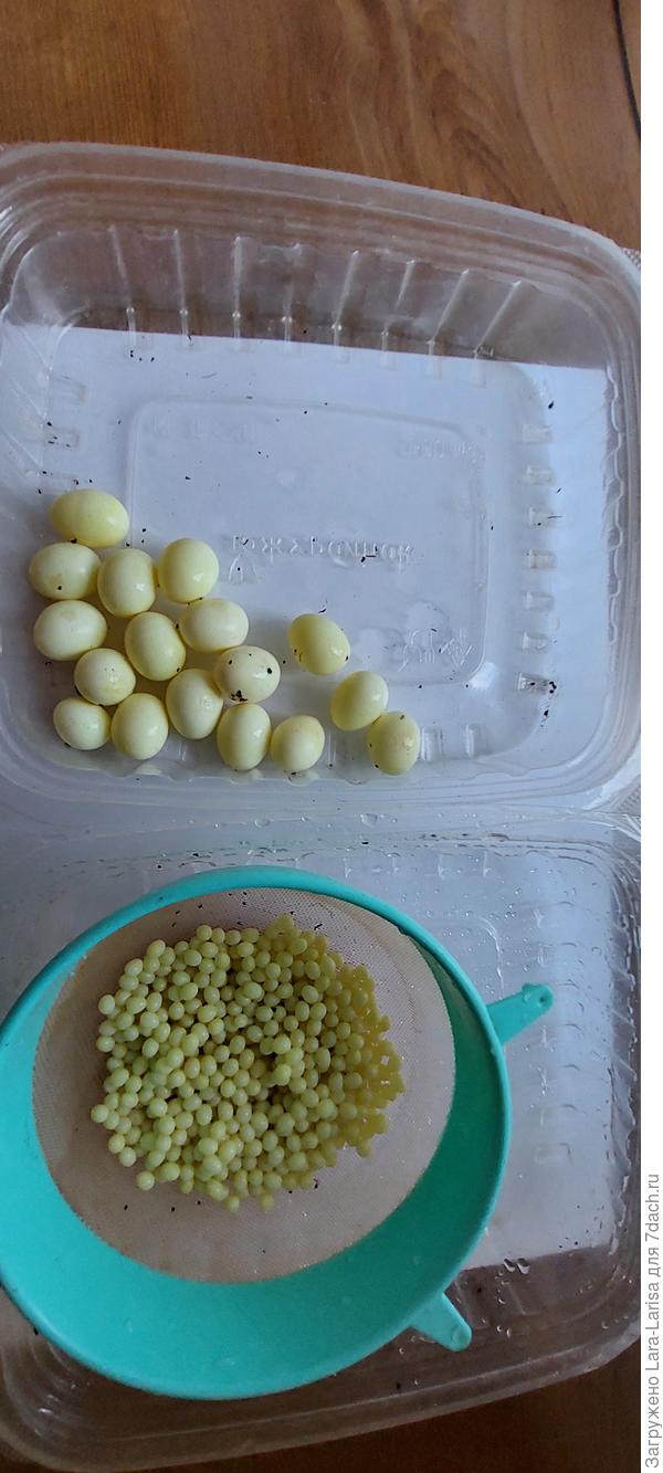 количество