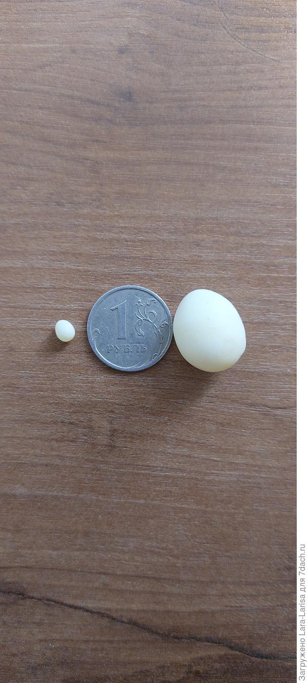 размер имеет значение)))