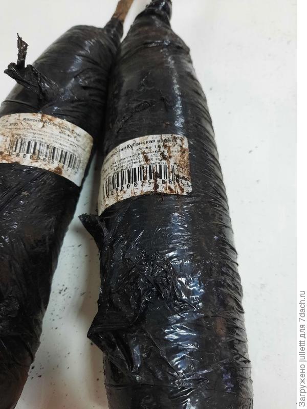 яблоня слива