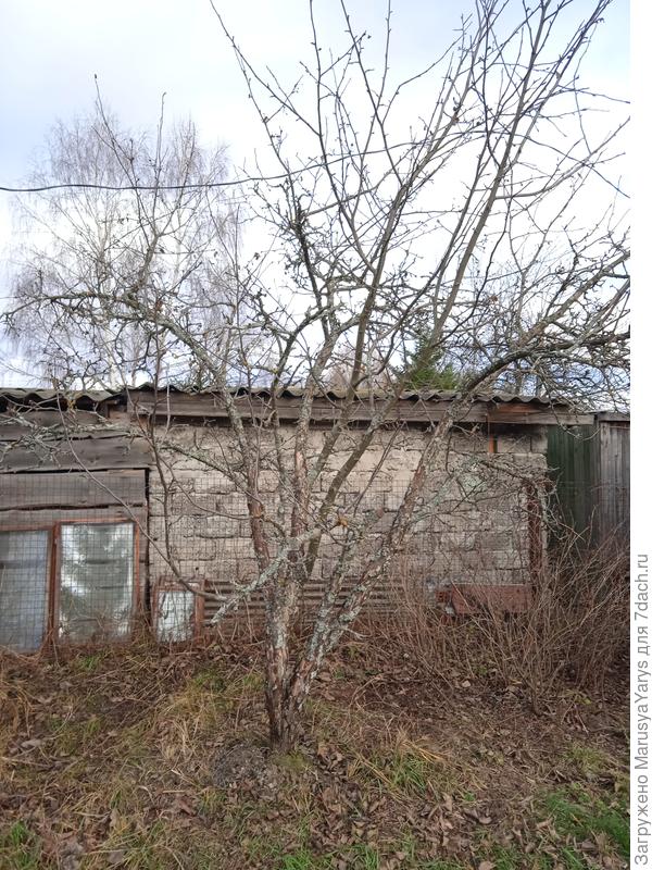 Вот полностью.