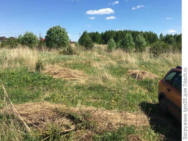 До «зачистки»