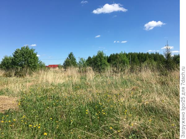 До «зачистки»