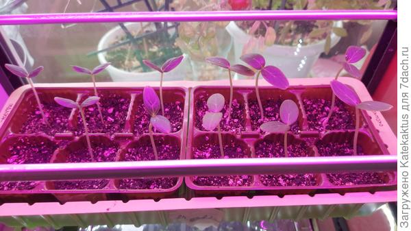 Даже когда не перекрывали друг друга....