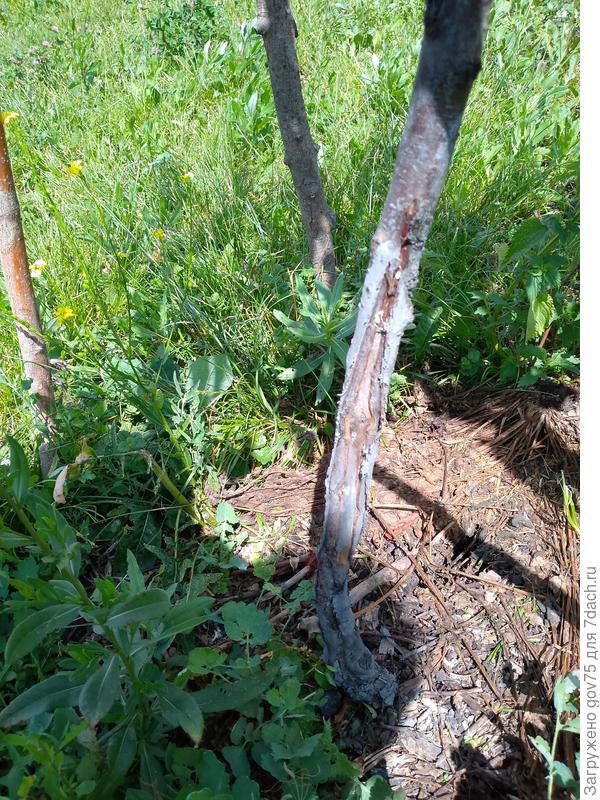 Повреждения