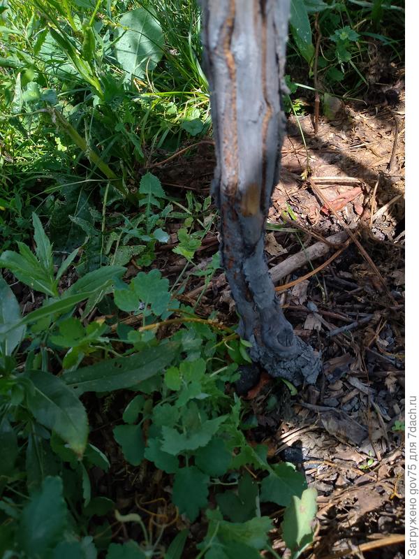 Повреждения