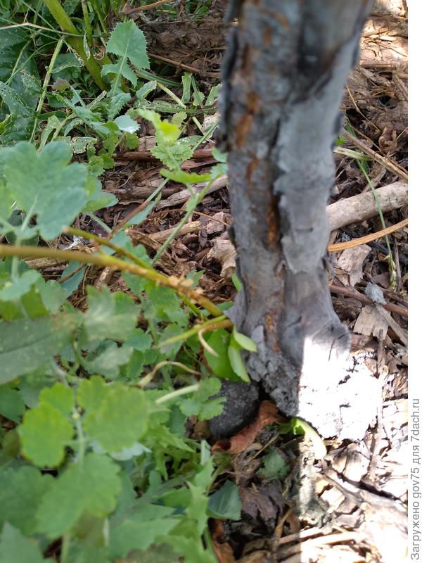 Повреждения