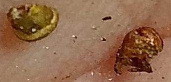 Так можно разломить