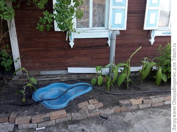 канны в ОГ