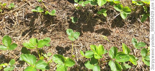 А это уже в июле