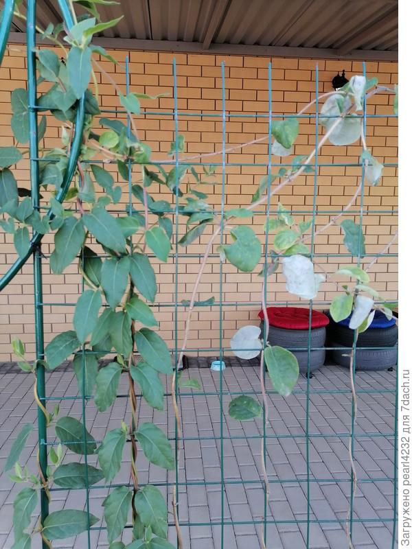 Ещё один общий вид.