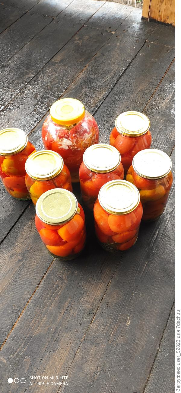 Вот и осень