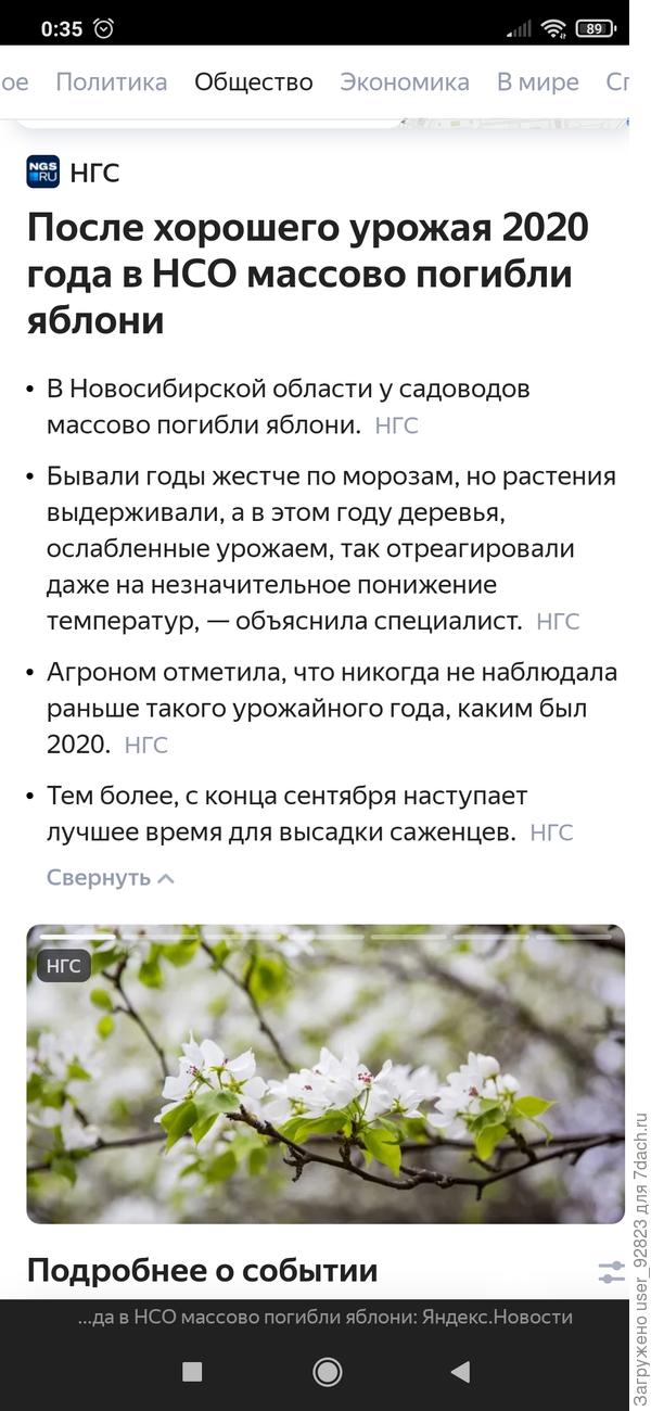 Статья на нгс