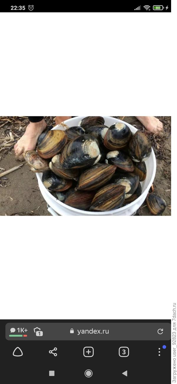 Вот нашла, их собирали))