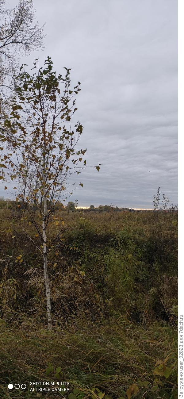 Ещё не всё окрашено золотом