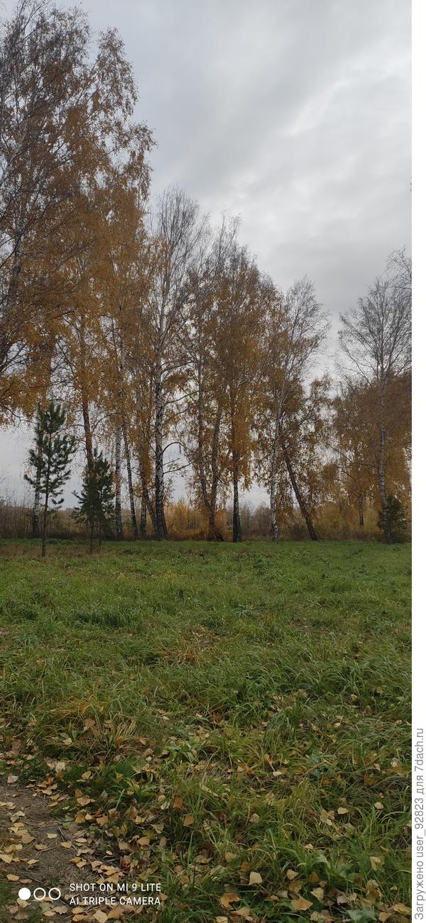 Зелёным покрывалом всё укутано ещё