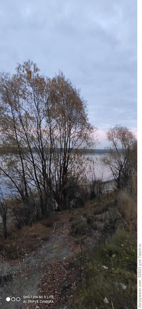 Родные берега