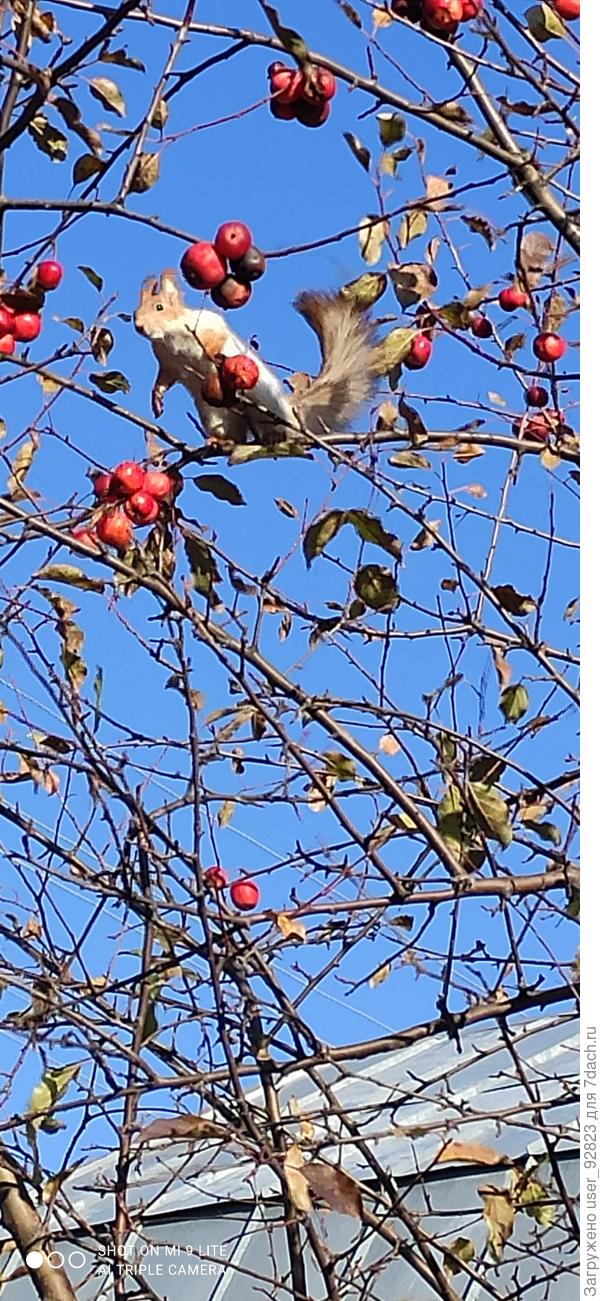 А у нас сегодня гость!