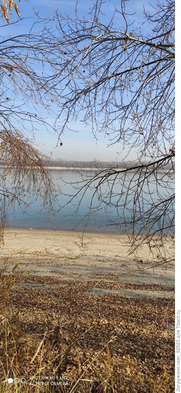 Уже сброшена вся листва...