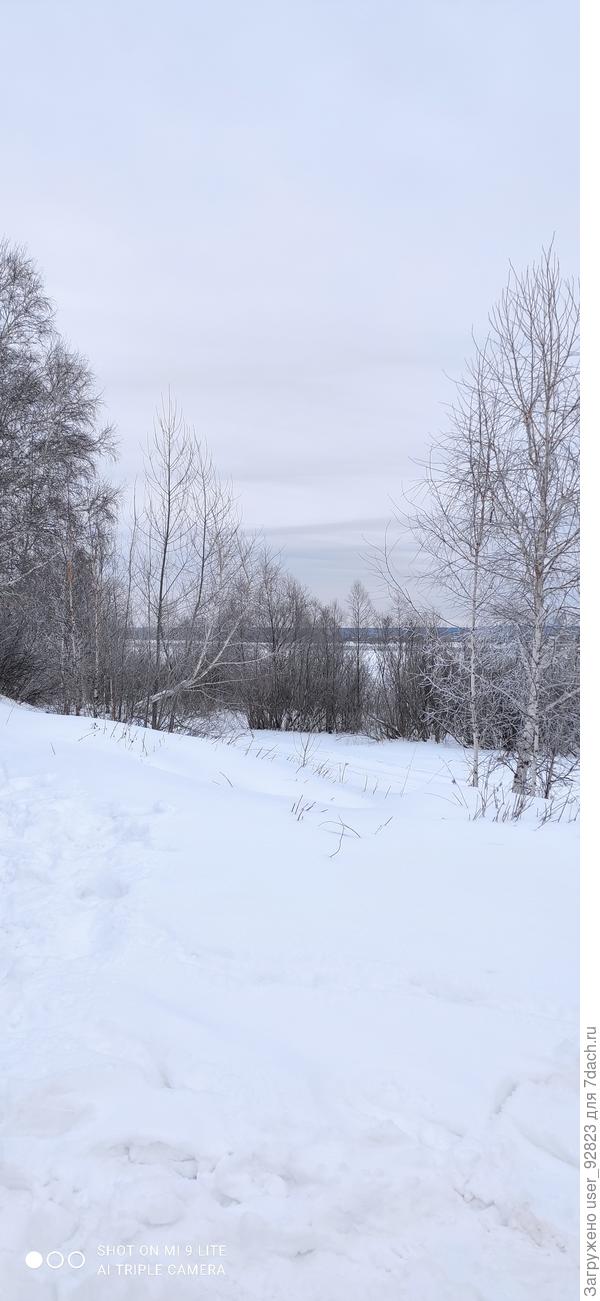 Январские пейзажи