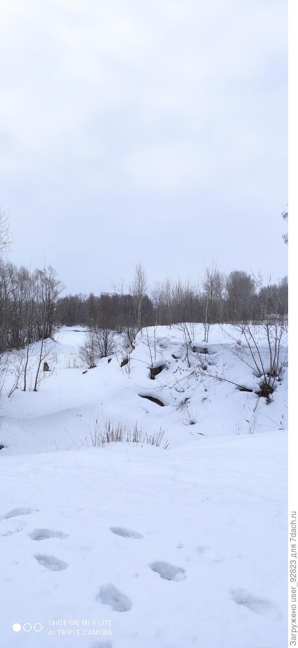 Провалилась в сугроб)) ползла за вербочкой