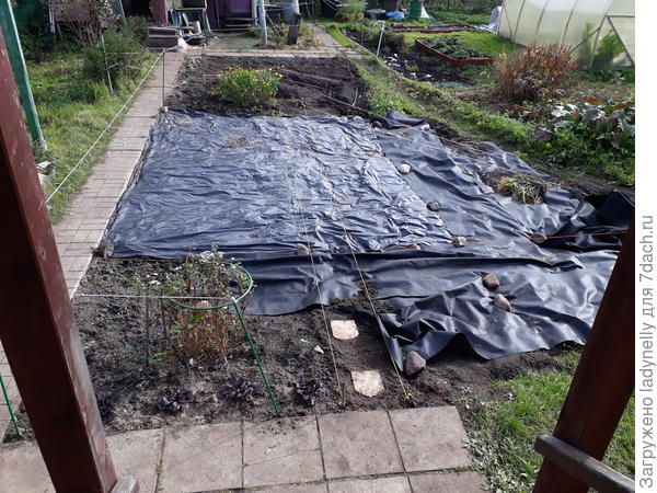 Наметки будущей дорожки