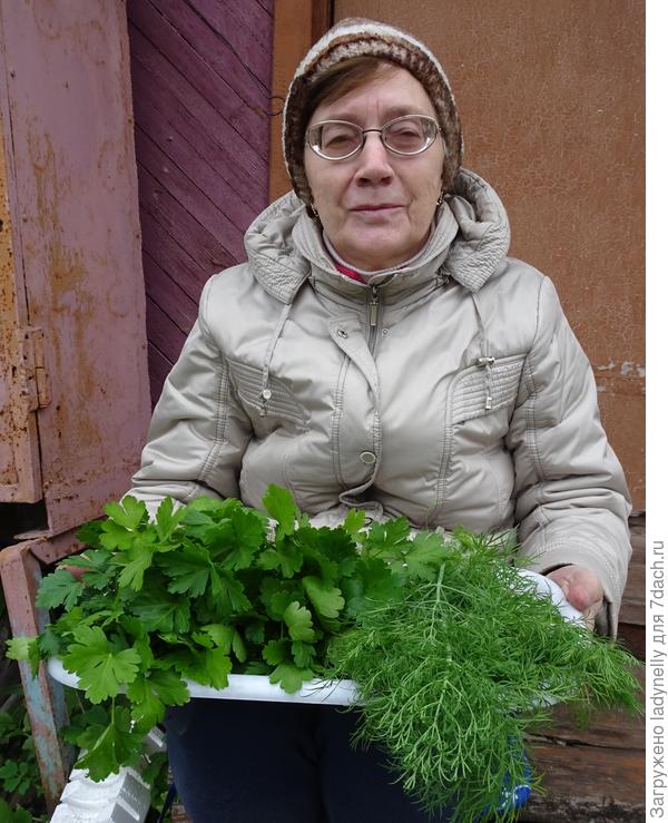 Главный потребитель зелени в нашей семье