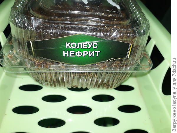 Этикетка