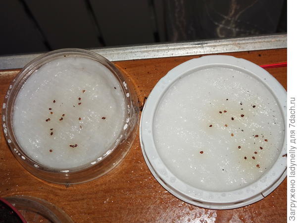 Замачивание