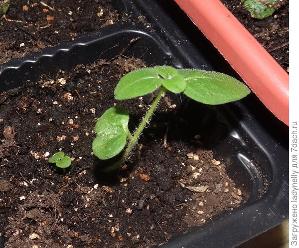 На новом месте