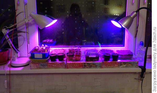 Расширение места