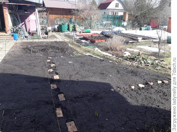 Дорожка