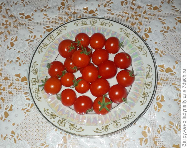 6 мая. Урожай