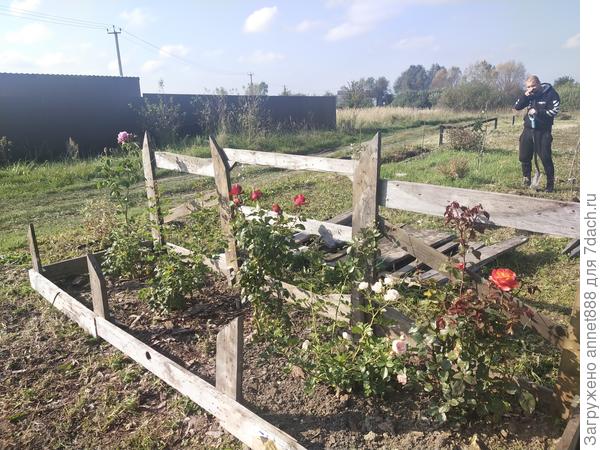 Розарий на скорую руку