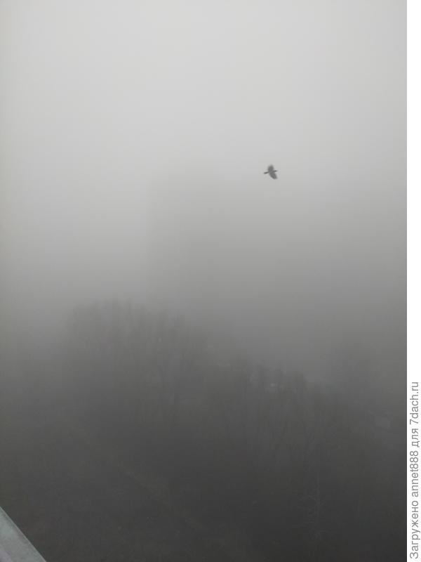 Сегодняшнее утро. Вид с окна 9 этажа)