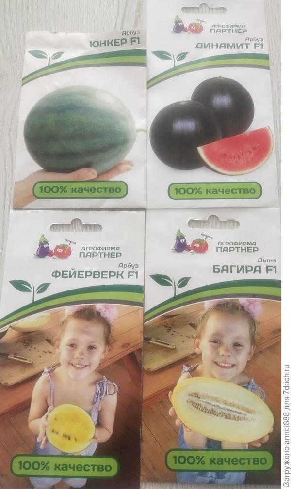 Планы на 2023