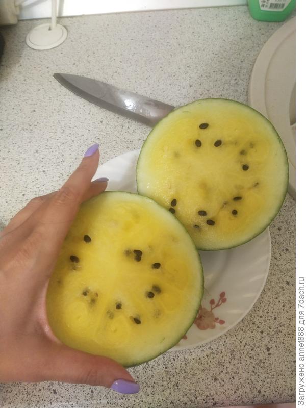 Маленький арбузик. Фейерверк F1