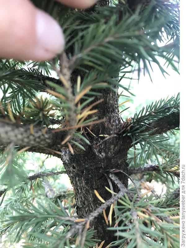 Второе место